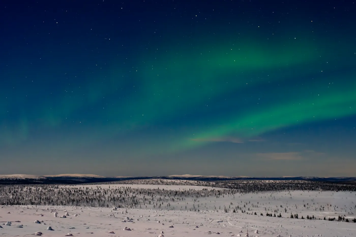 Green bands of aurora across a starry blue night sky above a flat, snowy landscape with scattered small trees
