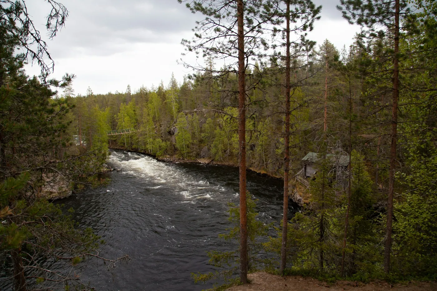 Une rivière sombre qui dévale des rapides dans une forêt de pins et d'épicéas, avec une petite cabane en bois sur la rive droite et une passerelle au-dessus de l'eau au loin