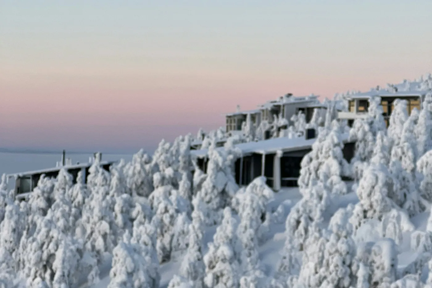 Modern buildings with large windows on a fell top, almost hidden behind spruce trees heavy with snow, under a pale pink sky