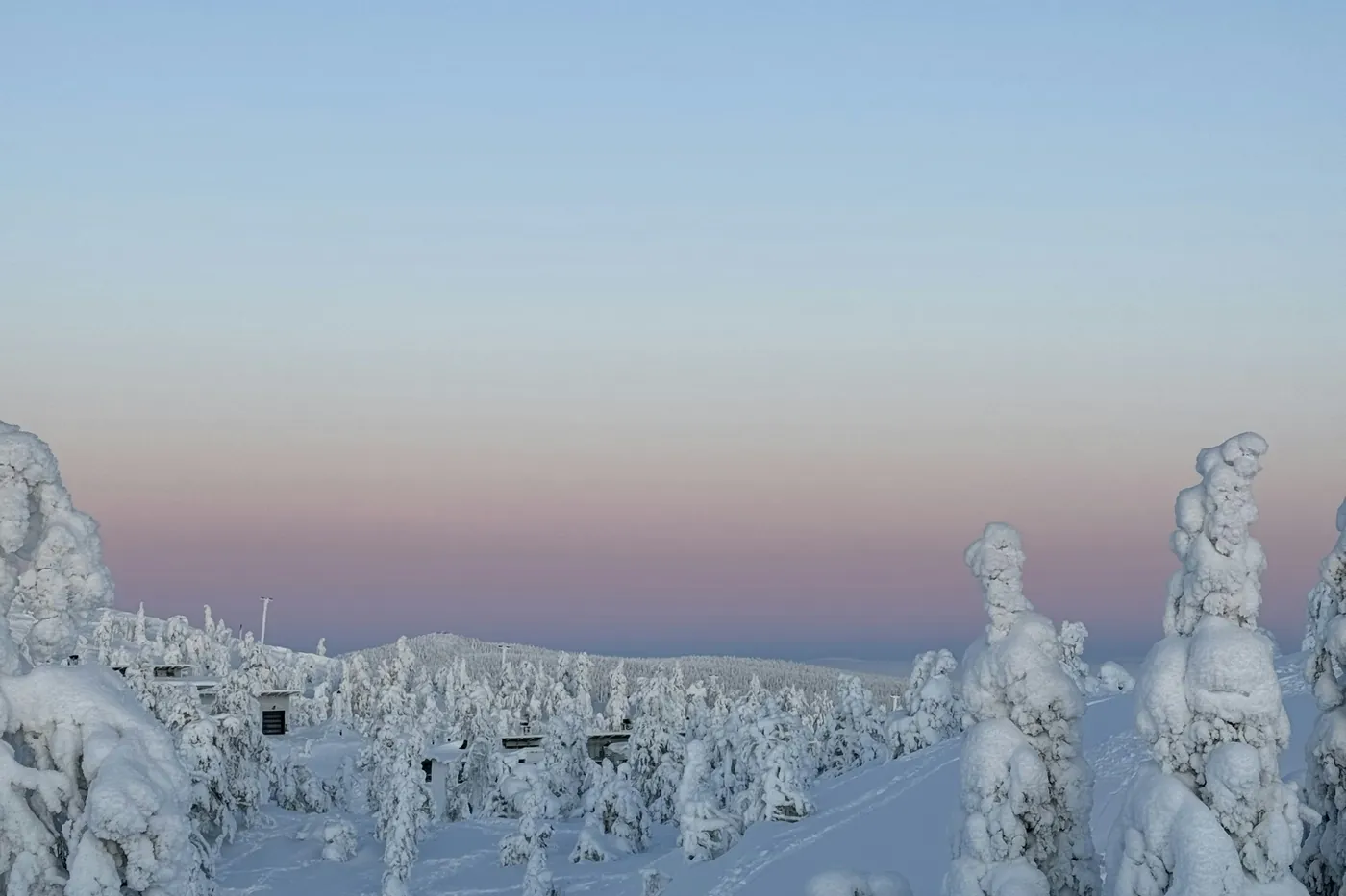 Spruce trees thickly covered in snow on an open fell top, a few small huts and a lamp post in the background, under a pink and blue dusk sky