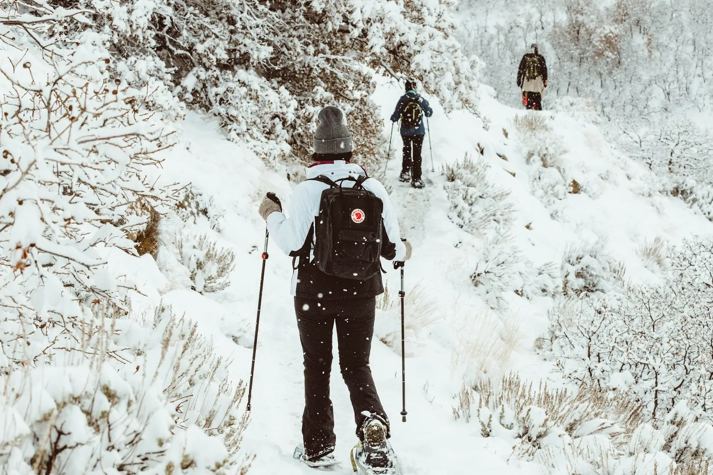 A hiker in a grey beanie, white jacket and black trousers snowshoeing uphill with poles behind two other walkers, snow falling on frosted shrubs