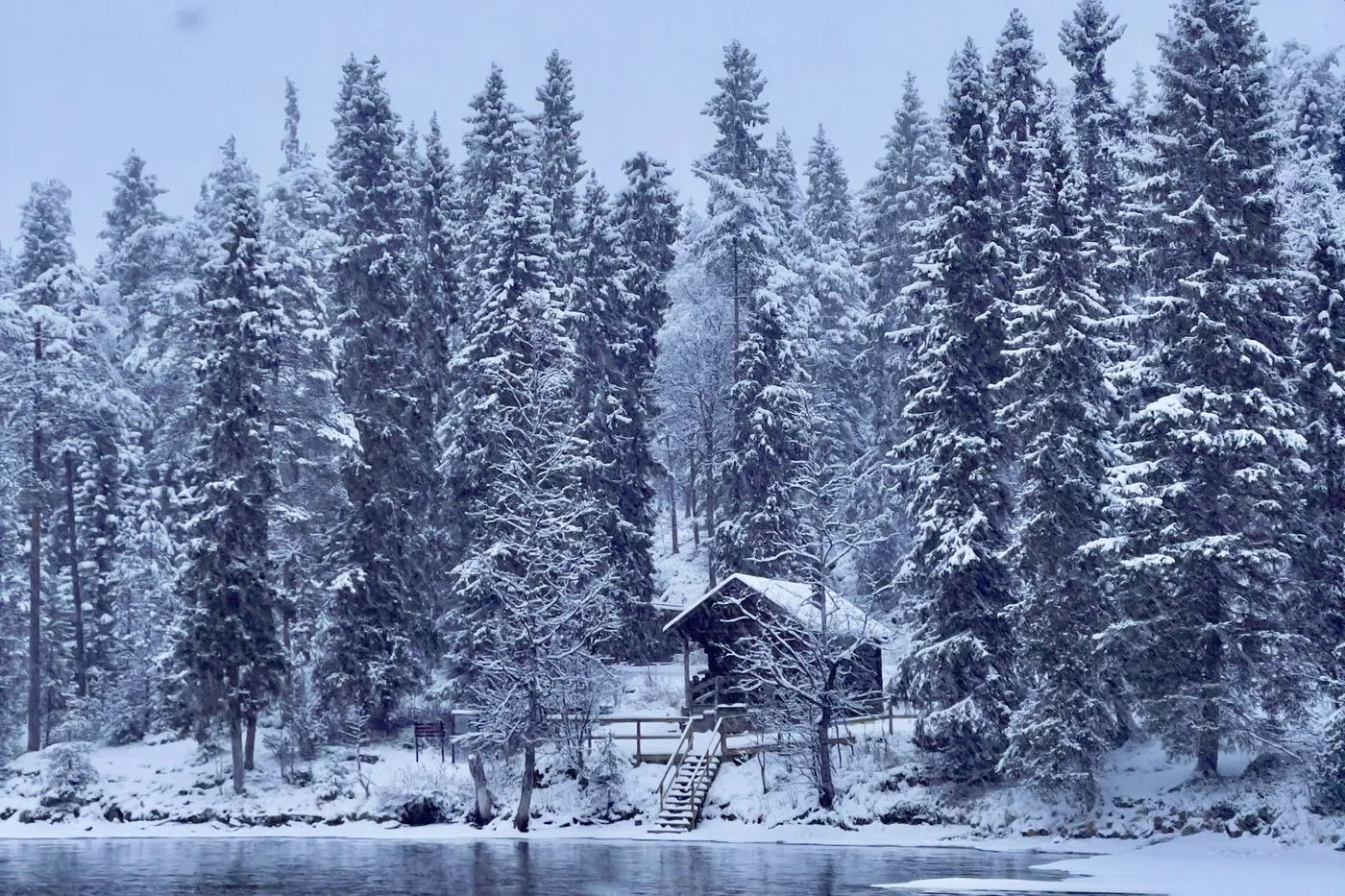 A small wooden hut with a porch and steps down to a lake shore, surrounded by tall spruces heavy with snow